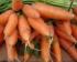 Las zanahorias son muy nutritivas y ricas en caroteno o provitamina A